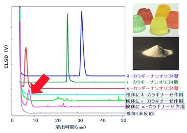 カラギナーゼ3種の基質特異性を利用した食品素材中カラギーナンの識別