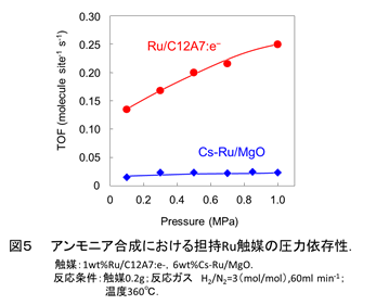 図5. アンモニア合成における担持Ru触媒の圧力依存性
