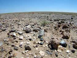 内モンゴル自治区エレンホトにて。地面に散らばっている何気ない石ころ。その何割かは風化した恐竜の骨である。