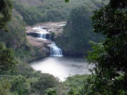 浦内川の上流にあるマリユドゥの滝。周辺にはテナガエビが豊富に生息。日本の滝百選のひとつでもある。