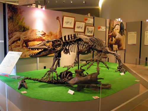 メガラニア 史上最大の陸生トカゲ。人類到着直後まで、オーストラリアの陸上生物としては最強の捕食者として君臨していた。