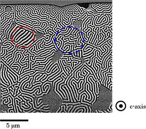 STXMによるNd-Fe-B磁石の磁区観察像。赤で囲った縞状磁区が傾いた結晶、青の迷図が立った結晶[11]