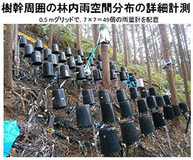 樹幹周囲の林内雨空間分布の詳細計測