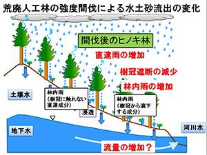 荒廃人工林の強度間伐による水土砂流出の変化
