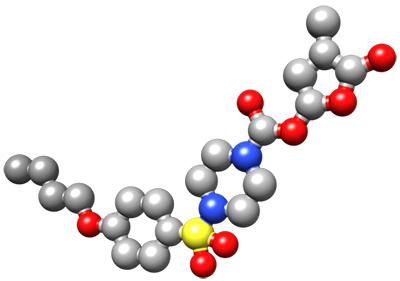 スフィノラクトン-7(SPL-7)の模式図（白：炭素(C)、赤：酸素(O)、青：窒素(N)、黄色：硫黄(S)）。肝は右上部分で、発芽タンパク質に結合する重要な構造。ハイブリッド構造を持つため、分子名前は頭がライオンで体が人間の「スフィンクス」に由来。（名古屋大学トランスフォーマティブ生命分子研究所長 伊丹健一郎氏提供／ITbMの研究ハイライト：http://www.itbm.nagoya-u.ac.jp/ja/research/2018/12/Striga-SPL7.php）