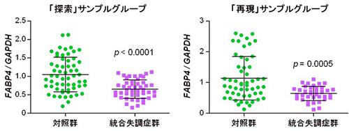グラフ. 統合失調症患者の毛根細胞でFABP4遺伝子発現量の低下を示す解析データ(いずれも提供：理化学研究所)