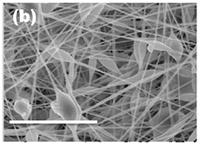 ナノファイバー・メッシュの電子顕微鏡画像(スケールは8マイクロメートル)