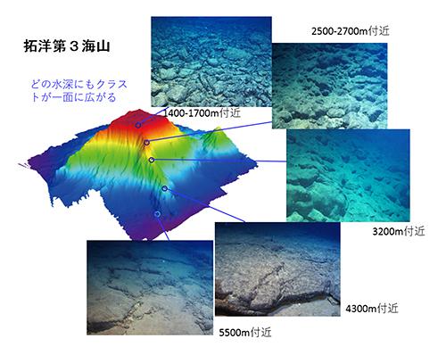 画像2. 探査対象のそれぞれの水深地点に広がるコバルトリッチクラストの様子(JAMSTECなど研究グループ提供)