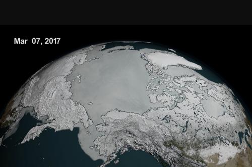 画像3 NASAの衛星が捉えた3月7日の北極海域の海氷(グレー部分)(提供・NASA Goddard's Scientific Visualization Studio/L. Perkins)