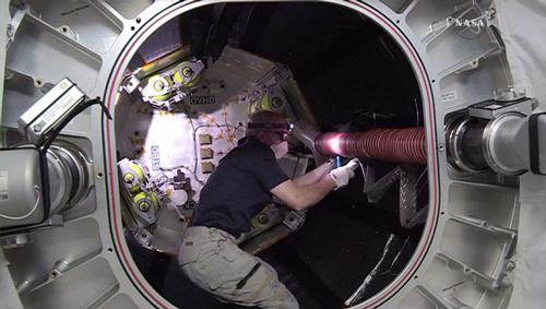 写真 BEAM内で作業をするウィリアムズ宇宙飛行士(NASATV提供)