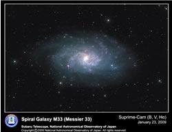 渦巻き銀河「M33(さんかく座星雲)」  (提供：国立天文台) 