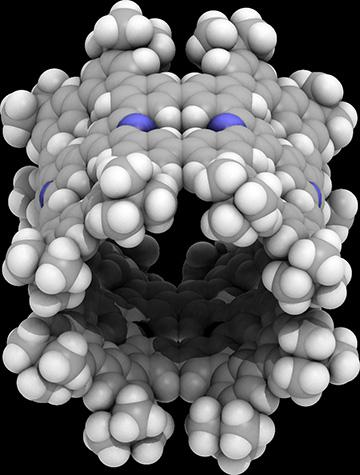 窒素入りナノチューブの分子構造（結晶構造を下から見た図）（東京大学などの研究グループ提供）