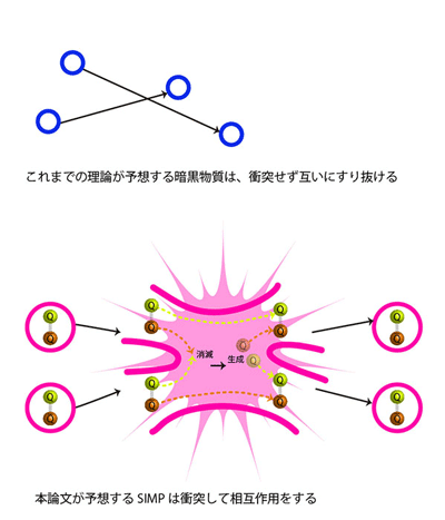 図．従来の理論とSIMPの理論の違いを示した模式図。今までのダークマターの理論では、ダークマター同士は互いをすり抜け反応しないと考えられていた。SIMP 粒子は、パイ中間子が相互作用するのと同種の強い相互作用をする。(Credit：Kavli IPMU)