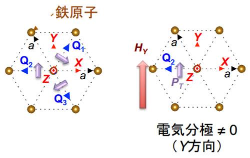 ビスマスフェライトの結晶における分極配向の模式図。図のY方向に磁場を印加すると、左図にある3つのQ方向(Q1, Q2, Q3)で表される磁気構造のうちQ2の構造が安定になり(右図)、Y方向に正味の電気分極が生じる。