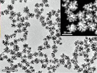 コンペイトーの形した白金ナノ粒子電子顕微鏡写真  (提供：物質・材料研究機構) 