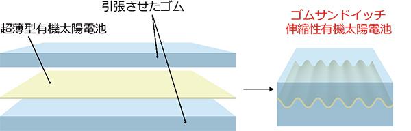 図3. ゴムサンドイッチ構造により伸縮性と高い耐水性を持つ有機太陽電池が実現。 提供:理化学研究所