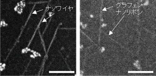 ナノワイヤ(左)と(右)グラフェンナノリボンの走査型電子顕微鏡像。どちらもグラフェンの結晶格子に沿ってジグザグ状に整列する。白棒は100nm。