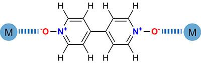 軽金属イオンの新しい相棒、電荷分離型中性有機配位子。今回の研究で用いた電荷分離型中性有機配位子bpdoは分子全体としては中性だが、プラスに帯電した窒素原子(青)とマイナスに帯電した酸素原子(赤)をもつ。その結果、硬い塩基性を示し、硬い酸である軽金属イオンと結合を形成しやすくなる。