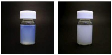 実験で得られた透明度の高いナノエマルション(左)と直径が数マイクロメートル(マイクロは100万分の1)の油滴からなる通常のエマルション(提供：海洋研究開発機構)