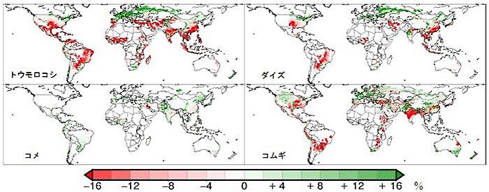 図　地球温暖化による穀物4種の収量の増減。赤は収量の低下を、緑は収量の増加を、地球温暖化がなかったと仮定した場合に比べてパーセントで示している。白い部分では、その穀物が栽培されていない。（飯泉さんら研究グループ提供）