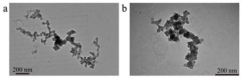 画像 a、bとも黒色酸化鉄粒子の電子顕微鏡写真(東京大学・気象研究所など研究グループ撮影・提供)