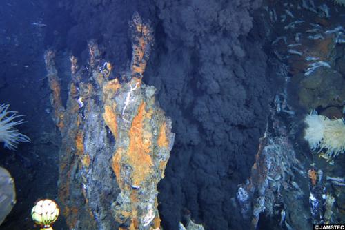 図1．インド洋中央海嶺南部海底にある熱水噴出孔。これは真っ黒な熱水を出す噴出孔で「ブラックスモーカー」とも呼ばれる。周辺には白いエビの姿が確認できる(提供:JAMSTEC)