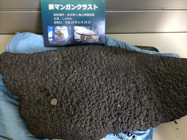図3・4．上の写真は、四国海盆で撮影された枕状マンガンクラスト (提供:JAMSTEC)。下の写真は、会場で展示されていたマンガンクラスト。
