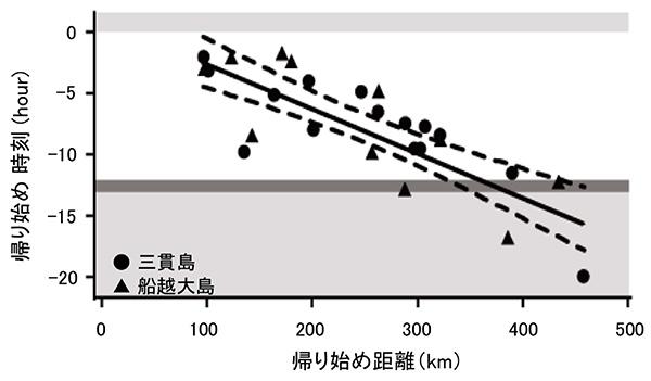 岩手県の沿岸に位置する三貫島と船越大島でオオミズナギドリの帰り始めの調査を行った。三貫島でも船越大島でも、島から遠くにいる時ほど帰り始める時間が早いことが分かった。（佐藤克文教授提供 / Shiomi et al. 2012 Animal Behaviour）