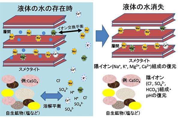 粘土鉱物「スメクタイト」の層間組成を利用した水質復元法の概念図（金沢大学、東京工業大学などの研究グループ提供）