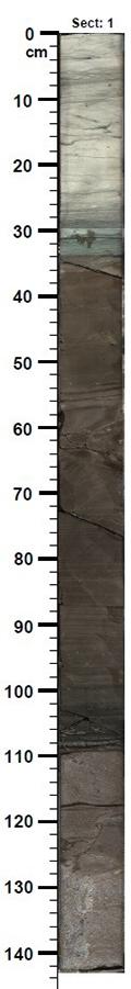 図2 分析に使った柱状の試料。最上部は海底下約616メートル。図で34〜110センチメートルの部分が、今回の研究でとくに注目した部分。泥などが堆積していて、その中に、生き物が動き回った跡が化石となって記録されている。(国際深海科学掘削計画の公表資料より)