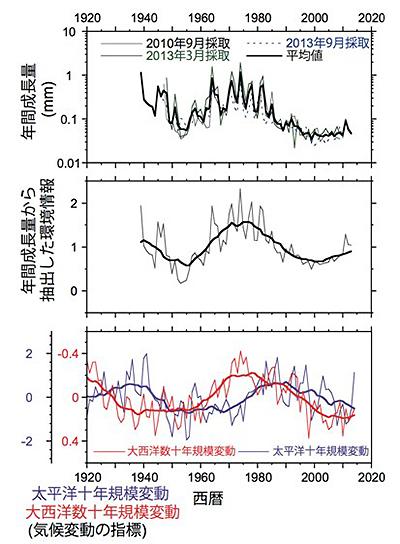 図2．いずれも横軸は年代。(上)ビノスガイの年間成長量を対数グラフで表したもの。グラフの上にいくほどよく成長したことを示している。40〜50年程度の周期が見られる。(中)年間成長量から環境の影響だけを抽出したもの。上に行くほど、貝の成長に適した環境だったことを示す。(下)PMOとAMOの変遷。ビノスガイに刻まれた過去の環境情報の波形は、AMOの波形とよく似ている　図:東京大学プレスリリースより引用
