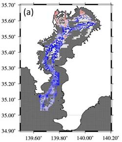 図2 東京湾が大気中の二酸化炭素を吸収していることを示す結果。青い部分が吸収域。北西部の赤い部分が放出域(久保さんら研究グループ提供)
