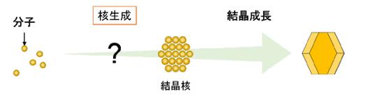 図 結晶化過程の模式図。分子が集合し，熱力学的に安定な大きさの結晶核が生成する過程を「核生成」，その後の結晶が大きく成長していく過程を「結晶成長」と呼ぶ。結晶成長への理解は近年目覚ましいが、核生成については直接観察することが困難だったためにその過程はほとんど分かっていなかった(図、図説明は北海道大学研究グループ提供)