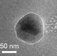 写真 タンパク質結晶の核生成を捉えたTEM像。研究グループが独自の工夫を施し手観察した(提供・北海道大学研究グループ)