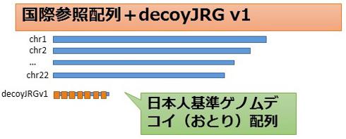 図3．一番下がデコイ配列「decoyJRGv1」のイメージ。日本人特有の塩基配列(オレンジ)をまとめ、新たな配列として追加した。