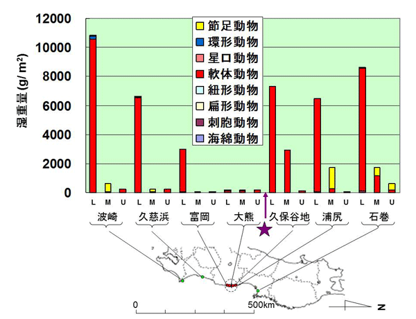 図 4: 潮間帯(下部L、中間部M、上部Uの水深別)における付着生物(無脊椎動物)の1平方メートルあたりの重量密度(g/m2)。紫色の星印は福島第一原発を、点線の円は原発から半径20キロメートル圏内を示す。
