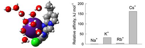 セシウムとシストレンAの結合状態の概念図と、アルカリ金属とシストレンAの相対的親和度。左は、量子力学的理論モデリングによる水存在下での結合状態。赤と白は水分子、紫はセシウム、青は窒素、緑は塩素、灰色は炭素。右は、量子力学的理論モデリングで得られたアルカリ金属(ナトリウム・Na、カリウム・K、ルビジウム・Rb、セシウム・Cs)とシストレンAの相対的親和性。