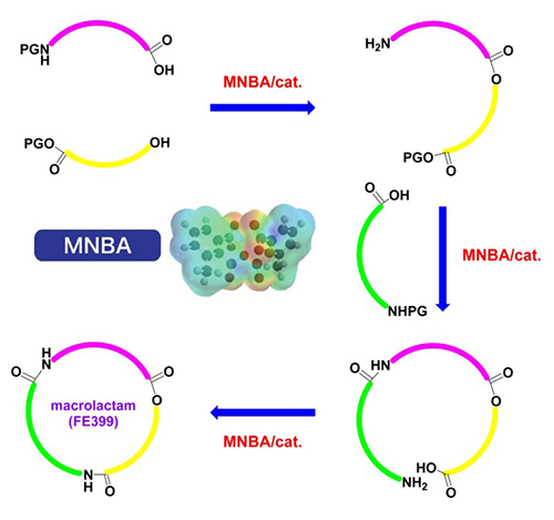 MNBAを使ってFE399を人工合成した過程の模式図（東京理科大学提供）