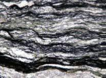 発見した岩石の顕微鏡写真。下側の黒色層が炭素(グラファイト)。(提供：東北大学)