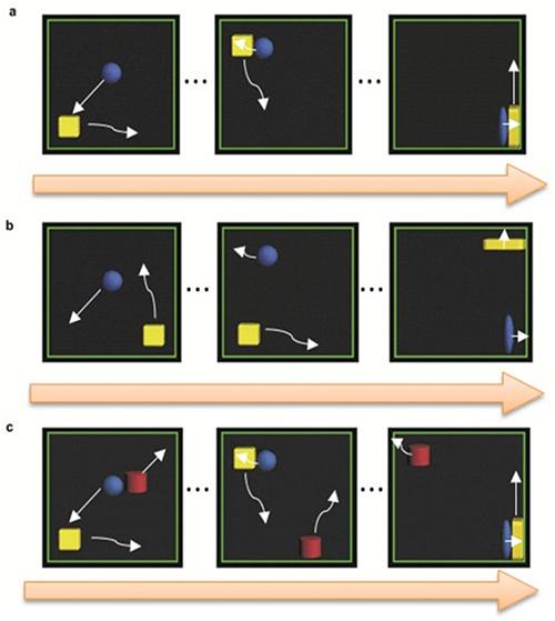実験で用いたアニメーション(a)攻撃相互作用：青の球体が攻撃者、黄色い立方体が犠牲者(b)接触のない相互作用(c)中立物体(赤い円柱)を加えた攻撃相互作用(提供：京都大学)