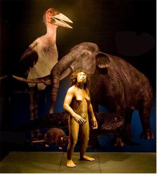 実物大(身長110センチメートル)に復元した「フローレス原人」とフローレス島にいた動物たち　(提供：国立科学博物館〈常設展〉)