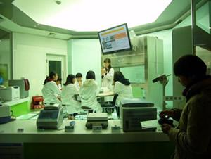 「組織培養室」での実験の様子。