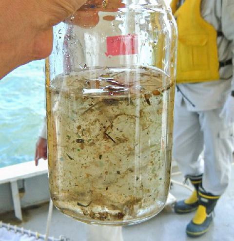 東京湾で採取した海水。多数のプラスチック片が混ざっているのが分かる（高田秀重さん提供）