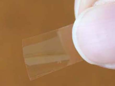世界最高耐熱のバイオプラスチックを開発