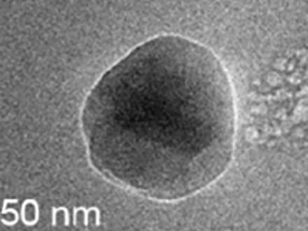 タンパク質結晶ができる瞬間をとらえる 北大など結晶化の最初の過程の仕組み確認