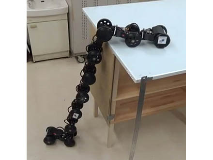 頭上げて障害物を越えるヘビ型ロボットを開発 東北大学など