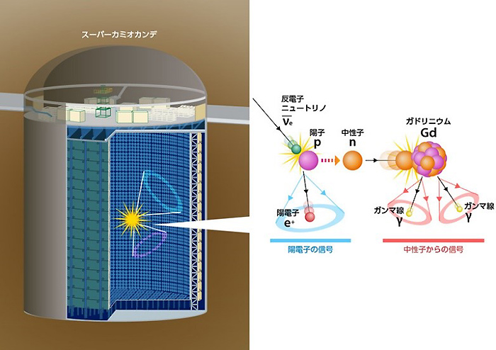 ガドリニウムを利用した観測の概念図（東京大学宇宙線研究所神岡宇宙素粒子研究施設提供）