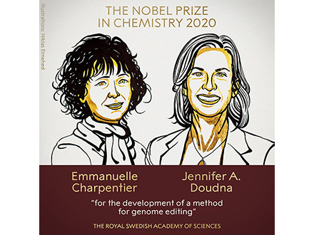 今年のノーベル賞【後編】化学賞の欧米女性2氏 プエルトリコで運命的な出会い、共同研究へ