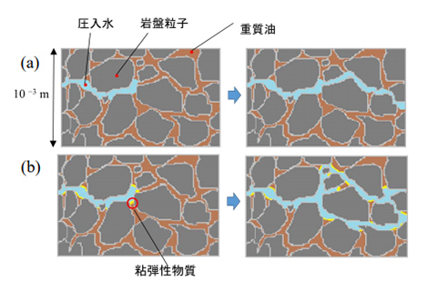 岩盤に水を圧入し、岩盤粒子の微細な隙間に存在する重質油を回収するイメージ。従来の水攻法（a）だと、一つの水路が形成されると水が流れる領域が広がらない。新手法（b）は粘弾性物質が隙間を程よくふさぎ、流れる領域が広がると考えた（東京農工大学提供）