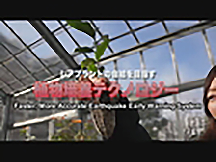 Science News 2012 （English） Plant Cell Culture Technology Targets Self-Sufficiency in Rare Plants